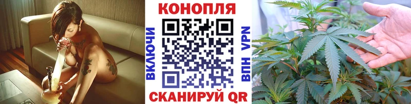 кракен ONION  Белокуриха  Шишки марихуана THC 21% 